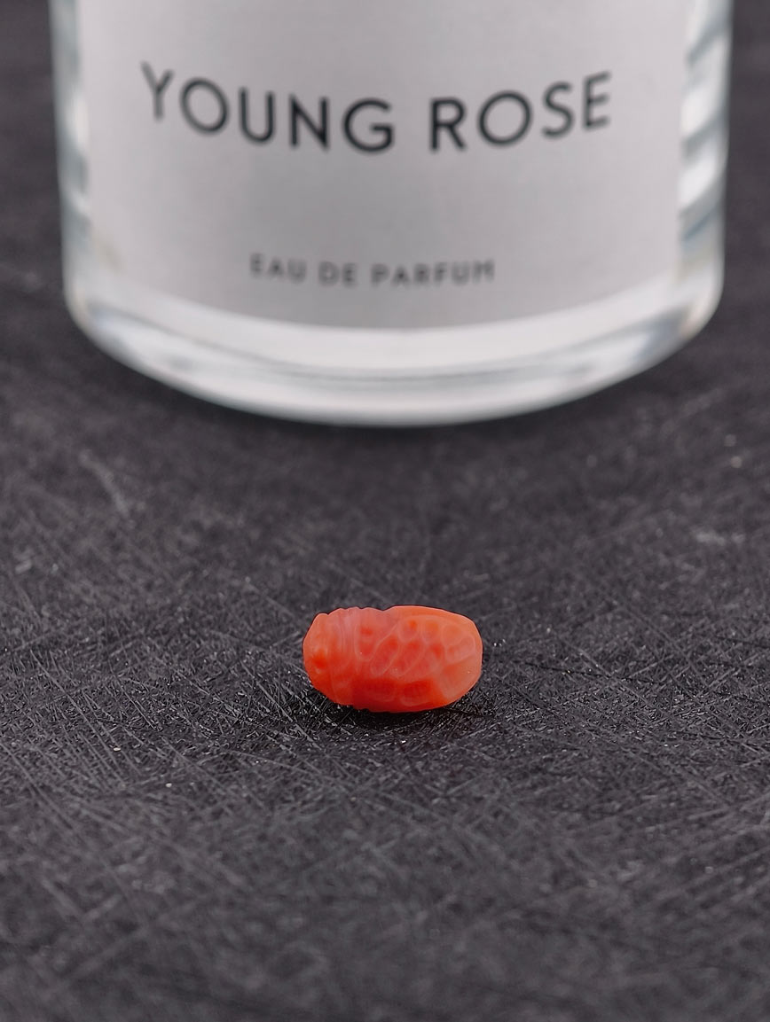 Natural South Red Agate Golden Toad DIY Accessory image