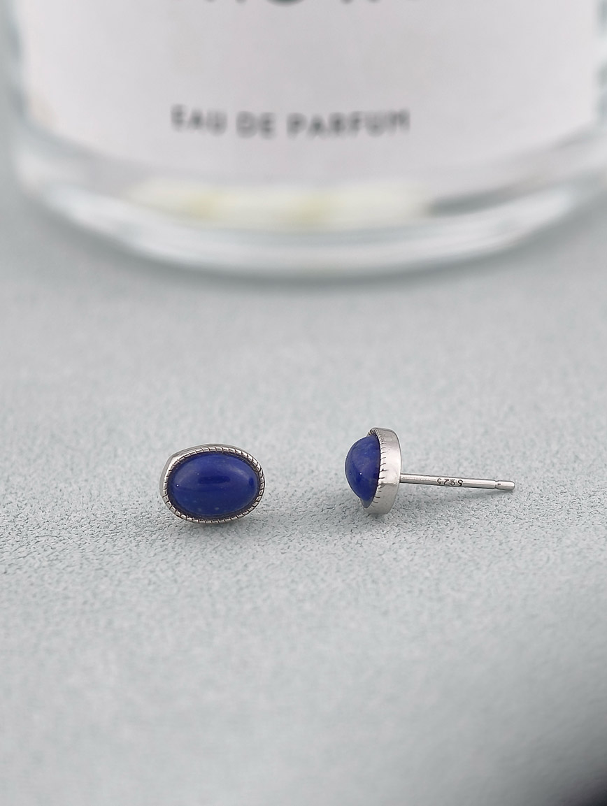 Natural Lapis Lazuli Simple Style Earrings image