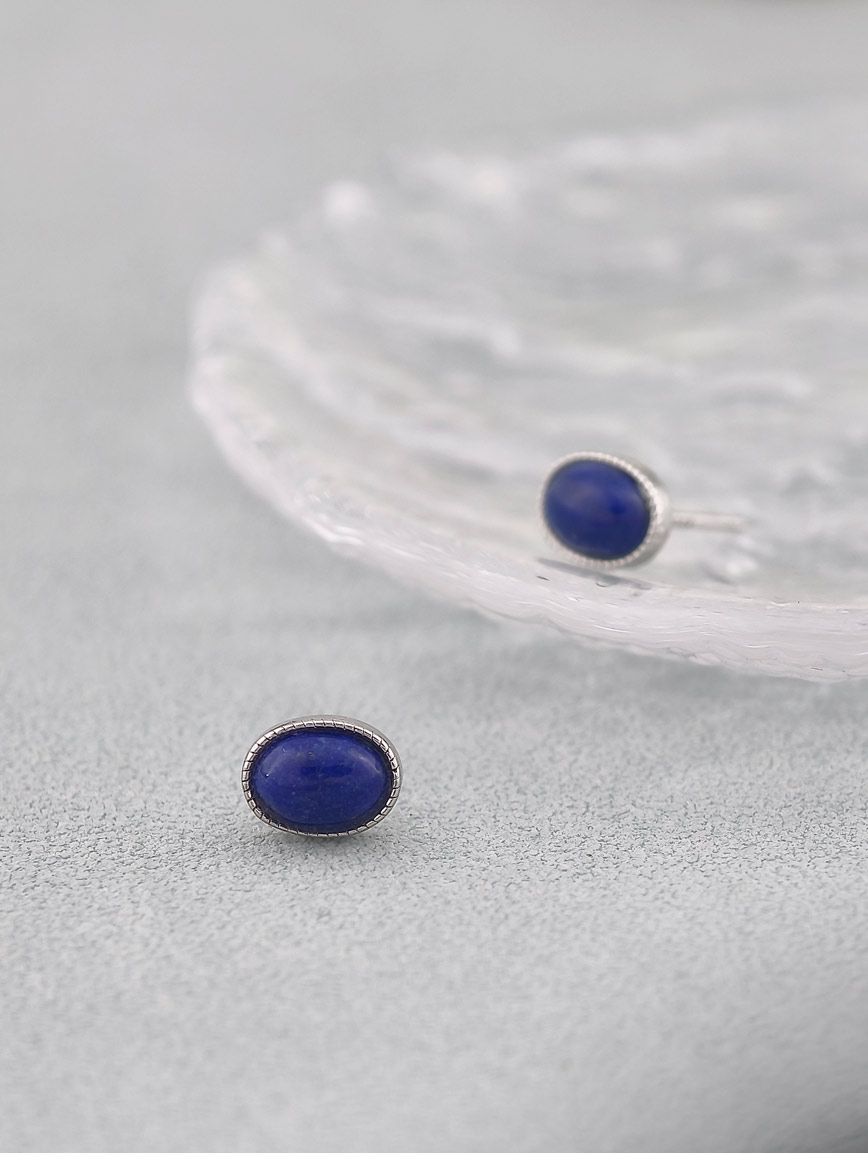 Natural Lapis Lazuli Simple Style Earrings image