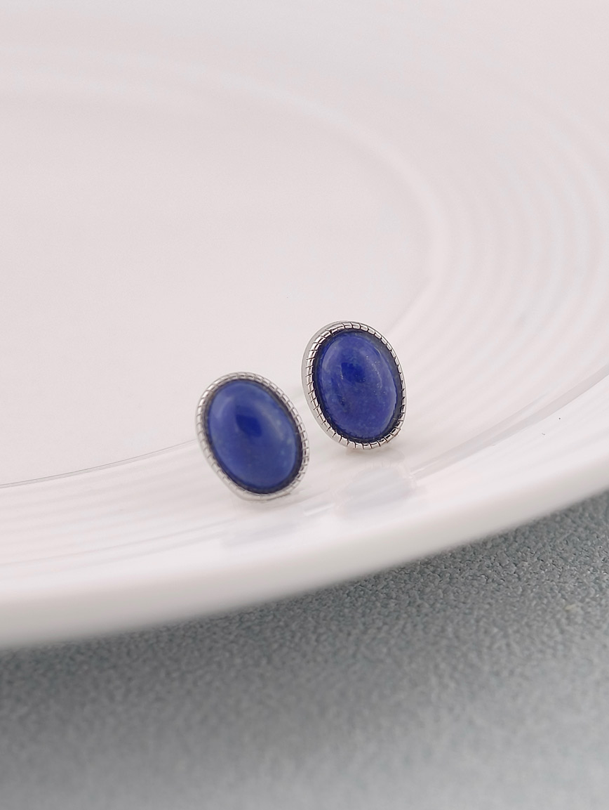 Natural Lapis Lazuli Simple Style Earrings image